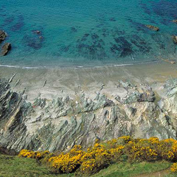 Sorgente Cornish Holiday Cottage coastal image